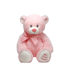 Мягкая игрушка TY Classic Медвежонок My First Teddy (розовый) 20 см