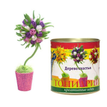 Топиарий малый Тюльпаны (цвета в ассортимете красно-белый, розово-фиолетовый, оранжево-желтый)